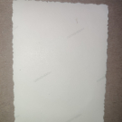 Kameradinnen der weiblichen Jugendbewegung/Foto/2.WK